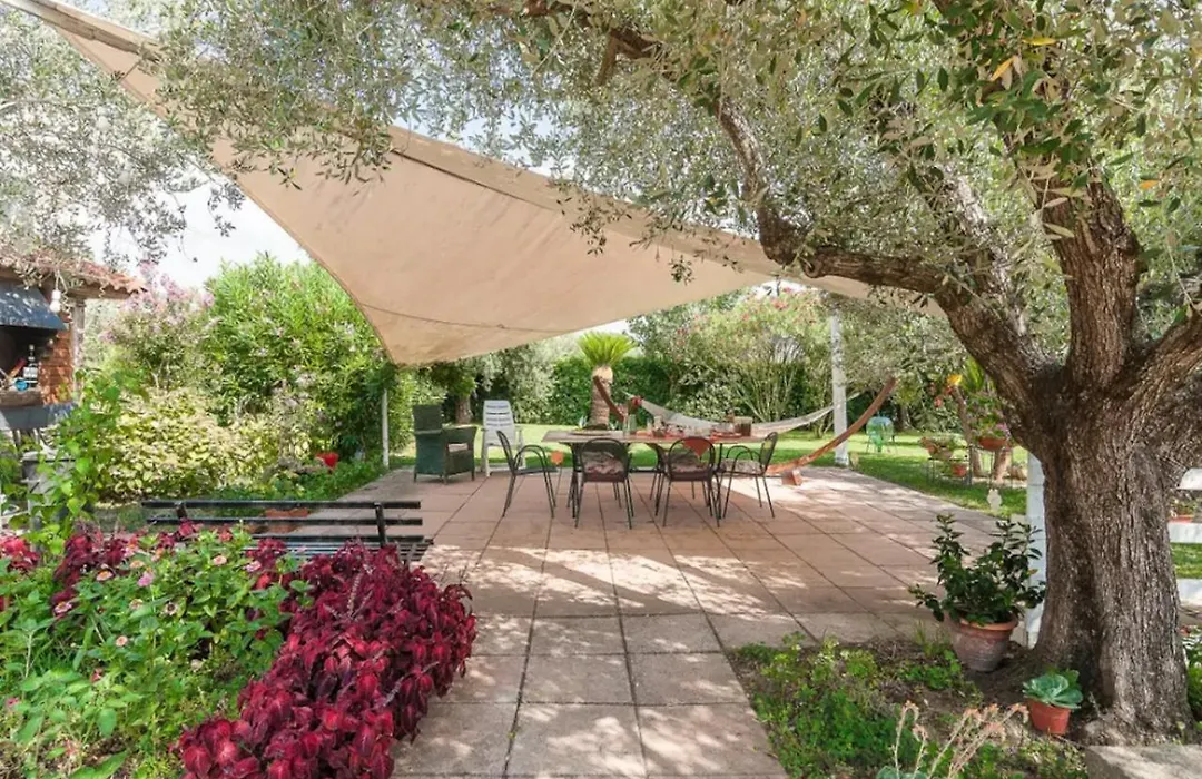 Casa Carmela B&B-1